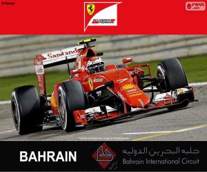 Puzzle Räikkönen GP Μπαχρέιν 2015